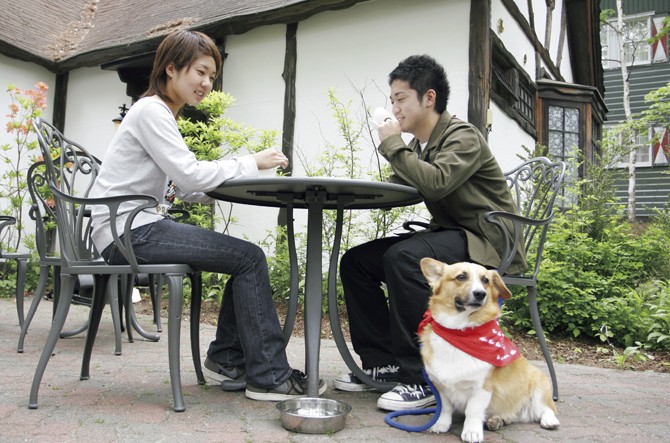 愛犬と旅行するなら 大自然に囲まれた北軽井沢へ行こう じゃらんニュース