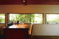 熊本 紅葉カフェ でまったり 紅葉絶景と秋グルメを堪能 じゃらんニュース