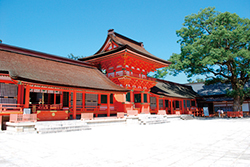 宇佐神宮　本殿