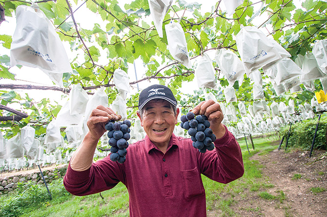 フルーツ王国 福岡 でフルーツ狩りを楽しもう こだわり農園9選 じゃらんニュース フルーツ王国 福岡 でフルーツ狩りを楽しもう こだわり農園9選 じゃらんニュース