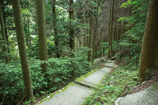 竜頭泉 遊歩道