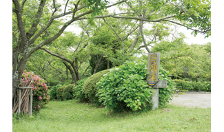 戸ノ隅の滝経路1