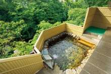 【日光・鬼怒川】日帰り温泉で大満足！じゃらん厳選プラン4