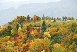 眼下に広がる絶景 ロープウェイから見るパノラマ紅葉 東海 3 じゃらんnet