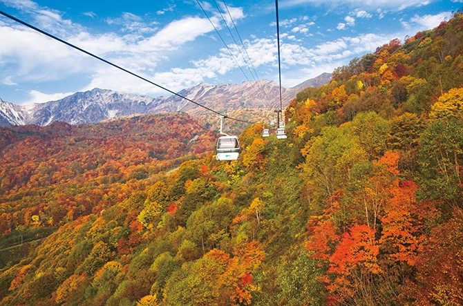 紅葉の絨毯が広がる 東海の 絶景ロープウェイ まとめ じゃらんニュース