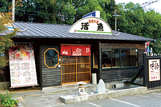豊後 浜鮨