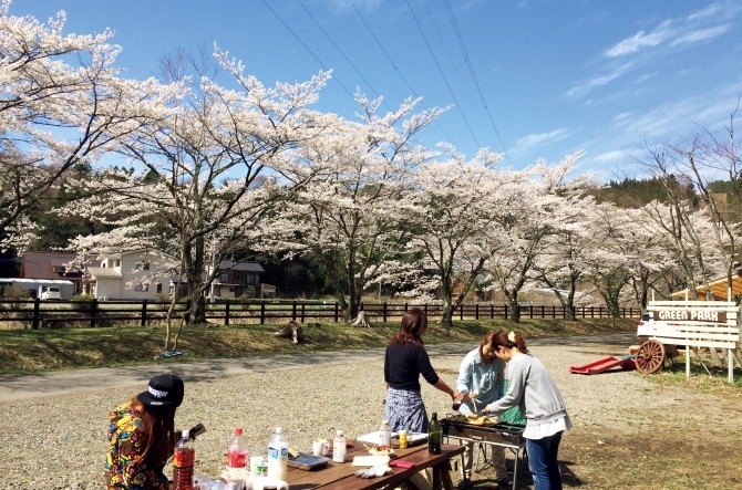 qｘお花見 お腹も心も満たす関東のおすすめ桜スポット じゃらんニュース