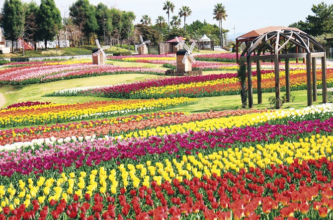 春を体感 花畑めぐりドライブコース 淡路島 じゃらんニュース