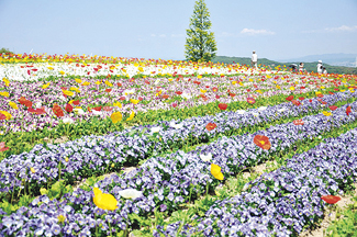 あわじ花さじき