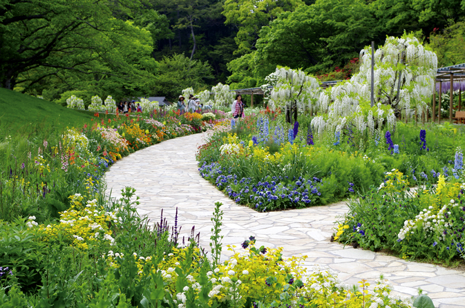 この春行きたい 絶景のお花畑スポット10選 東海 16 じゃらんニュース