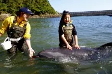 イルカと泳ぐ、タッチする…イルカとふれあえる水族館5選【東海・関西】