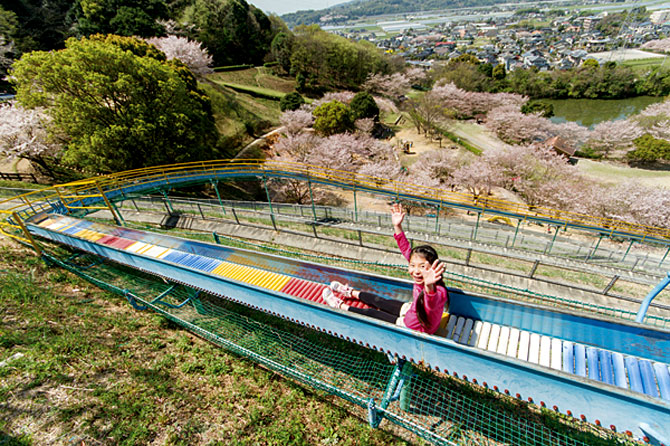 岡岳公園
