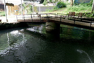 優峰園フルーツランド2