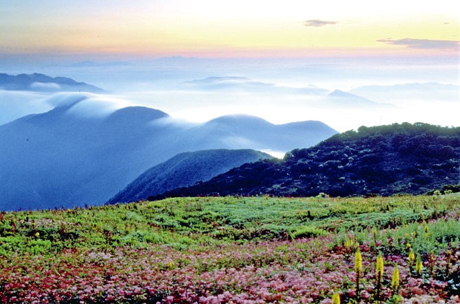 夏がおすすめ 雲海に琵琶湖 伊吹山の山頂絶景 岐阜県 じゃらんニュース