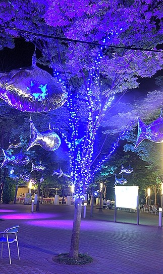 夏デートにおすすめ 東京ドームシティ のサマーイルミネーションが話題 じゃらんニュース