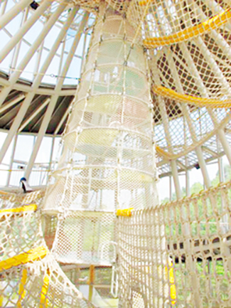 海南市わんぱく公園 トルネード