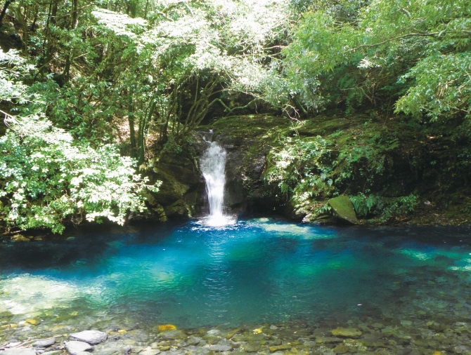 ながさき県民の森 オシドリ淵の滝