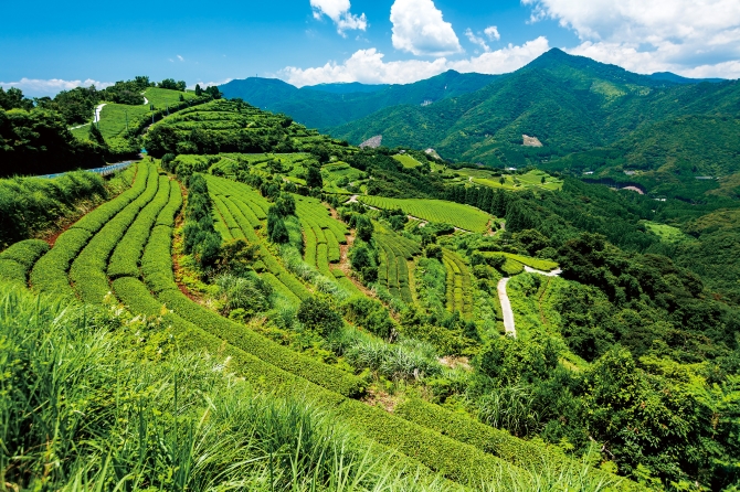 地下の茶山・払川展望台