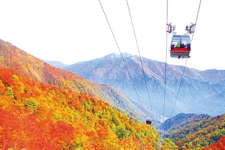 絶景スポット満載 乗り物から楽しむパノラマ紅葉 関東 じゃらんニュース