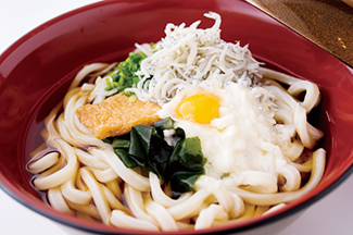 浜名湖レークサイドプラザ 遠州三河うどん