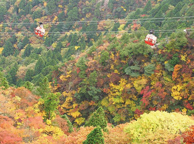 紅葉絨毯に感動 御在所ロープウェイ で空中散歩 三重 じゃらんニュース