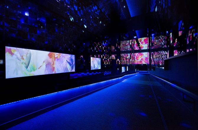 すみだ水族館が幻想的な蜷川実花ワールドに染まる クラゲ万華鏡トンネル 東京 じゃらんニュース