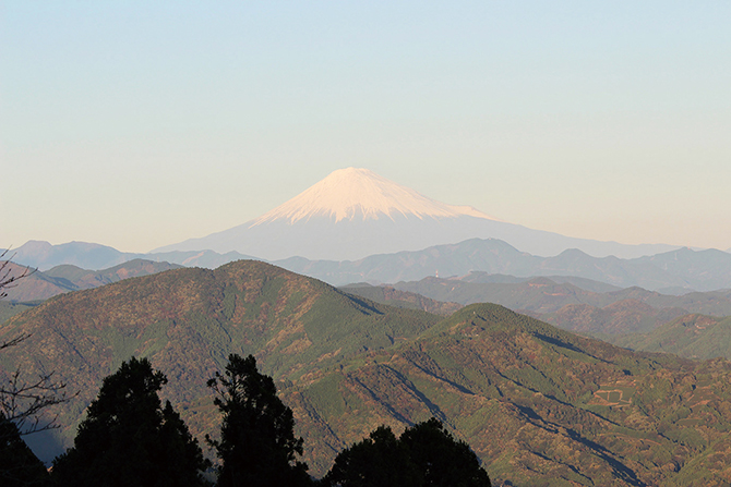 粟ヶ岳山頂 阿波々神社