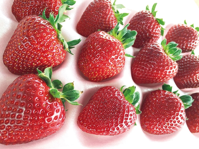 まさに赤い宝石 イチゴ一会な希少いちごも食べ放題 関東甲信越 じゃらんニュース