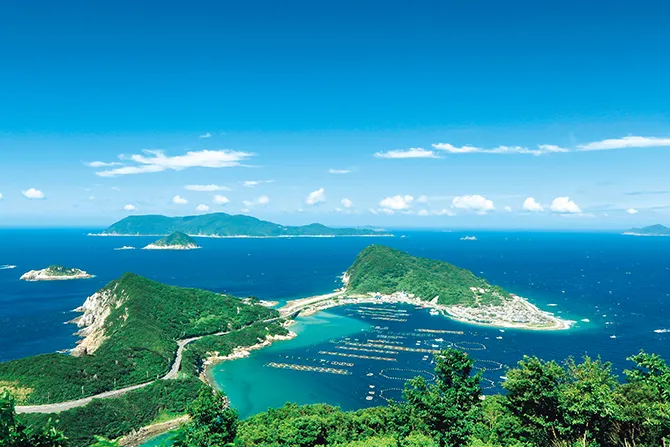 柏島 奇跡の清流 モネの庭 本当は秘密にしたい高知の絶景7選 じゃらんニュース