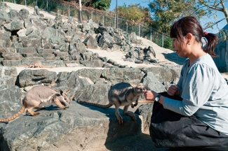 ひびき動物ワールド