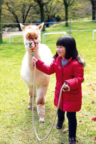 赤城クローネンベルク