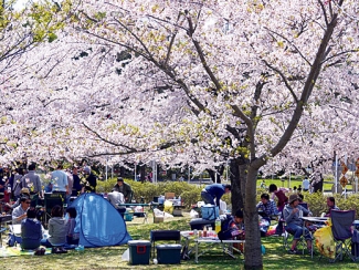 八戸公園 こどもの国・植物園