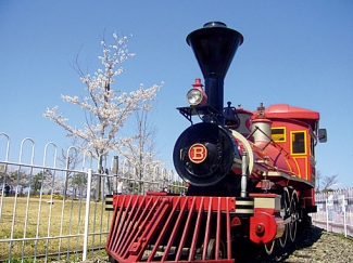 郡山カルチャーパーク ドリームランド