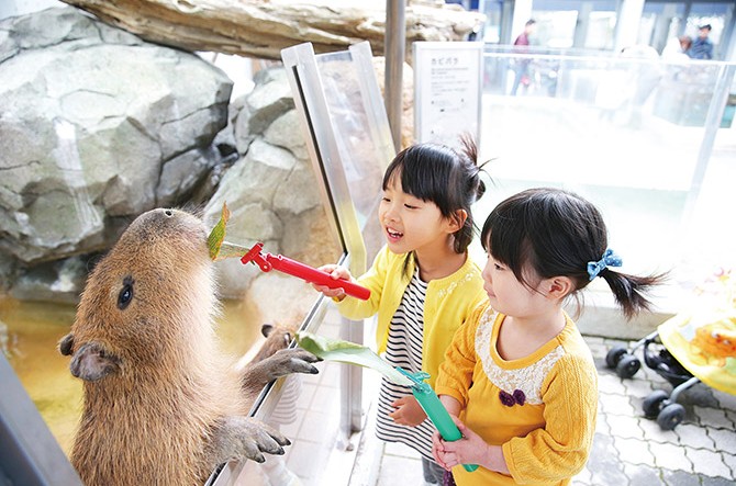 ふわふわの動物にさわれる 岐阜のおすすめ動物園 牧場 じゃらんニュース