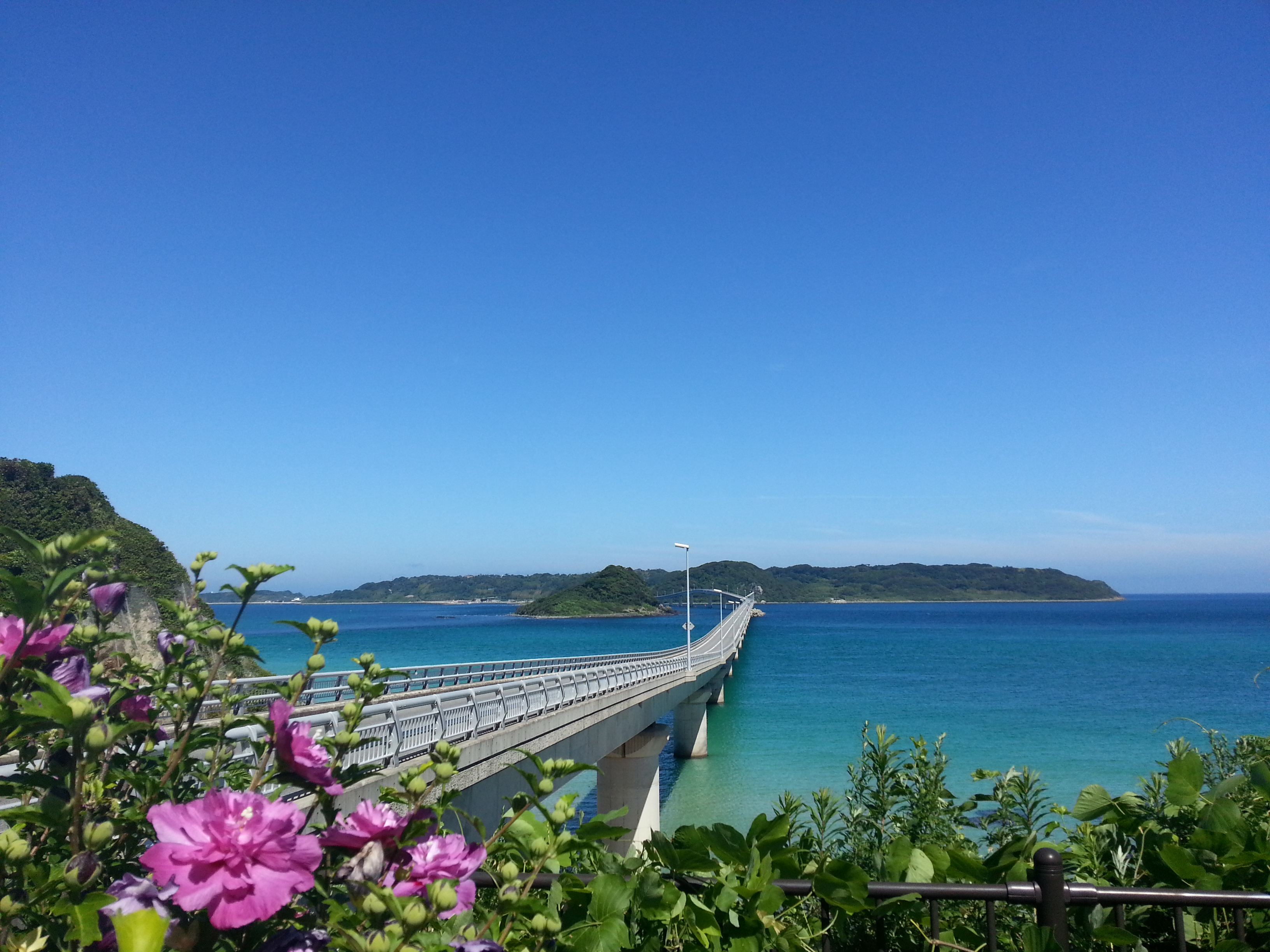 油彩　癒しの風景絵画＊どこまでも続く海　 波打ち際　コバルトブルービーチ 夏 波 油彩 癒しの風景絵画＊どこまでも続く海 波打ち際 コバルト