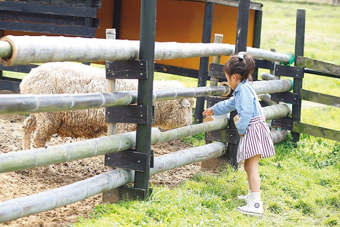 赤ちゃん 子連れにおすすめ 気軽に行ける関西のお出かけスポット10 じゃらんニュース