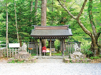 明神池コース