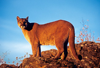 知育にも 家族におすすめの遊園地 テーマパーク6選 関西中国 じゃらんニュース