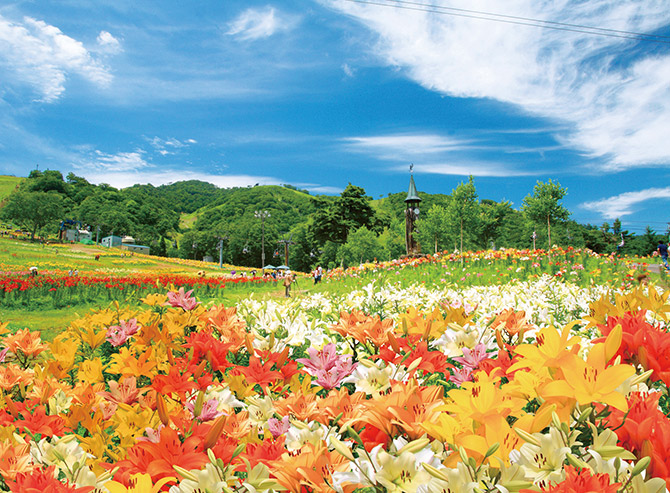 Sns映え抜群 ひまわり ラベンダー 今しか出会えない 絶景の花畑４選 東海 じゃらんニュース