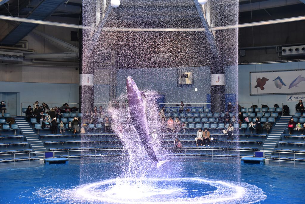 関東 この夏行きたい水族館 人気おすすめ16選 デートにも じゃらんニュース