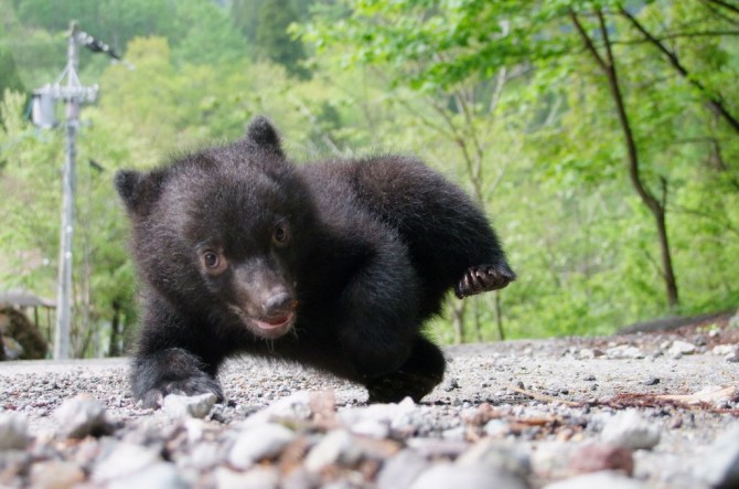 全国 動物ふれあいスポット29選 大人から子どもまで動物好き必見 じゃらんニュース