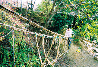 観光農園 南楽園