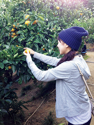 城山オレンヂ園