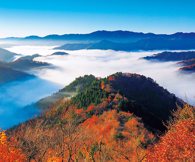 紅葉名所のおすすめビューや穴場情報も！【関西】紅葉絶景と周辺情報23選 ｜じゃらんニュース