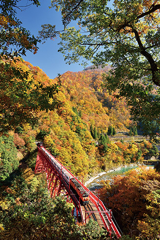 今が見頃 列車にドライブ 乗り物から見る紅葉絶景はインスタ映え抜群 東海 じゃらんニュース