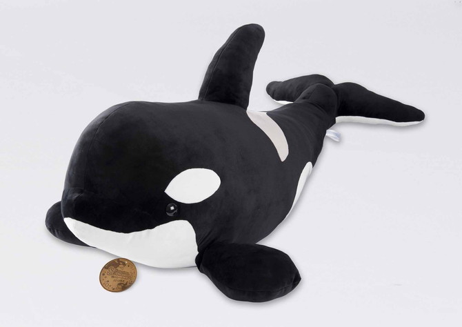 笑うアシカと記念撮影も 1月は鴨川シーワールドのお正月イベントへ じゃらんニュース