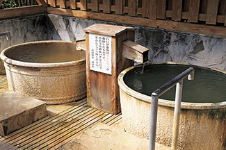 君田温泉 森の泉