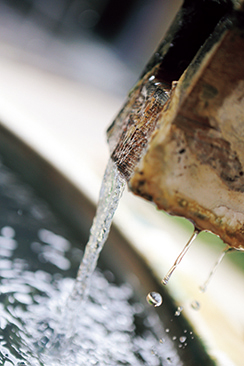 君田温泉 森の泉