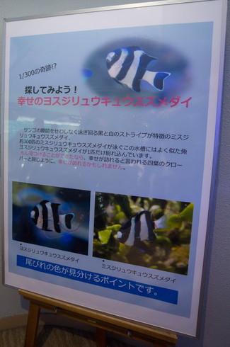 名古屋水族館