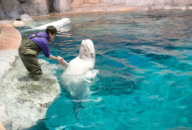 名古屋水族館
